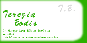 terezia bodis business card